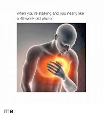 When You Re Stalking And You Nearly Like A 45 Week Old Photo Me Stalking Meme On Esmemes Com