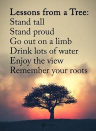 Pin By Dee Barnes On Children Tree Quotes Stand Tall Quotes Passion Quotes