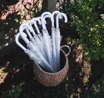 Clear Umbrellas - FREE Pick Up