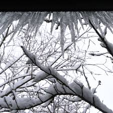 Vorsicht dachschnee vorlage / aufkleber zerbrechlich ausdrucken : Wetter In Bayern Amtliche Warnungen Im Freistaat Wintereinbruch Kommt Bayern