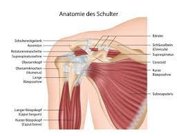 Kalkschulter Op Ablauf Heilungsdauer Nachsorge Jameda