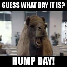 Lovethispic offers hump day camel meme pictures, photos & images, to be used on facebook, tumblr, pinterest, twitter and other websites. Camel Hump Day Quotes Quotesgram