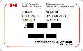Social Insurance Number Wikipedia