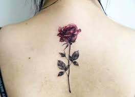 Illustrazione di stile inciso a base di erbe. Tatuaggi Fiori Quali Sono E Qual E Il Significato Dei Simboli