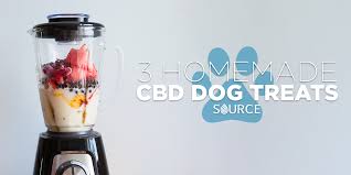 Cbd products for pets from cbd american shaman are made from high quality and terpene rich pure hemp extract! Diy Cbd Dog Treats Only The Best For Your Pup Recipes Video