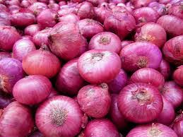 Keluarga itu mempunyai seorang anak perempuan yang sangat cantik. Khasiat Bawang Merah Yang Ramai Orang Tidak Tahu