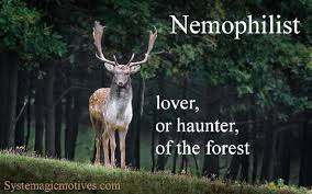 She goes to the forest everyday, because she loves it. Nemophilist Meaning