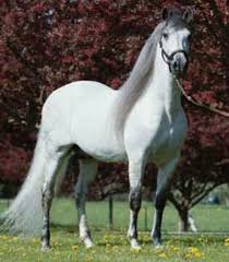 Maybe you would like to learn more about one of these? Ranczo Leny 1 Wattpad