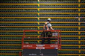 Through our physical storefront exchange, vancouver bitcoin has helped thousands of canadians buy and sell cryptocurrencies securely. Bitcoin Down Nearly 50 From Year S High As Miners Eye Exits Daily Sabah
