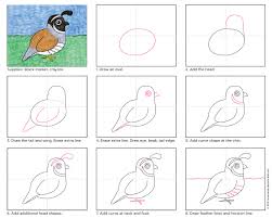 We did not find results for: How To Draw The California Quail Art Projects For Kids