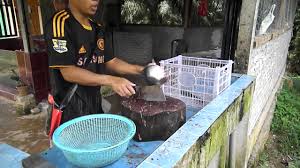 Resepi 1 kilo ikan tempoyak club. Ikan Patin Pahang By Syamsul Rizal Sabri