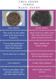 What Is The Difference Between Chia And Basil Seeds Pediaa Com