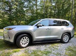 Image result for Celestial Silver 2025 TX