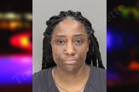 Nikki Ryan — Cobb County Jail Bookings