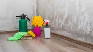 Hierfür einfach den kommentar nutzen. Fogging Wie Entsteht Der Schwarze Staub An Den Wanden Bayern 1 Radio Br De