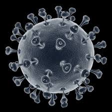 Pin On Med Lab Tech Virology