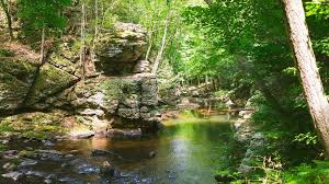 Watch the locals jump first to get an idea of the landing area. The Perfect Spot For Cliff Jumping And Swimming On A Hot Day Cotton Hollow Is Located In Glastonbury And People Can Hi Swimming Hole Swimming Holes Waterfall