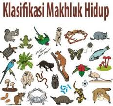 Soal Klasifikasi Makhluk Hidup Materi Ipa Kelas 7 Smp Mts Kurikulum 2013