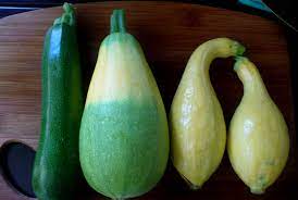 Maybe you would like to learn more about one of these? The Enchanted Tree Squashini Zucchinash Cross Pollination In The Garden