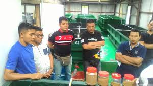 Terutama jika cara memancing udang galah hanya menggunakan joran ukuran kecil. Kursus Ternakan Udang Galah Dalam Udang Galah Muar Facebook