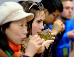 Impact: The 2016–2017 Philanthropy Report