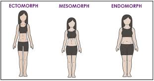 your body type may influence the weight