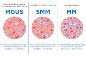 Image result for Multiple Myeloma