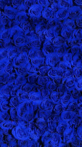 Right now we have 62+ background pictures, but the number of images is growing, so add the webpage to bookmarks and. Kraska Ton Volosy Temno Sinij Inej Avto Matovaya Blue Darkblue Instagram Inst 2020 2020 Iph Blue Roses Wallpaper Blue Flower Wallpaper Royal Blue Wallpaper