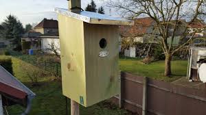 Maybe you would like to learn more about one of these? Nistkasten Mit Funkkamera Raspberry Pi