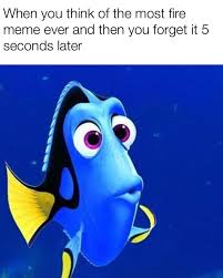 Maybe you would like to learn more about one of these? I Actually Can T Remember What I Thought Of Just Keep Swimming Just Keep Swimming Memes