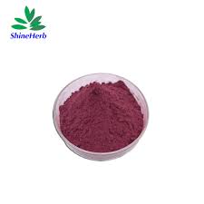 Featuring purple colored natural hair in plum and grape shades. China Natural Anthocyanidins 1 25 Purple Corn Extract China Natural Purple Corn Extract Purple Corn Extract Powder