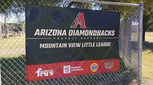 The cactus league is a training league, that takes place prior to the major league baseball regular season. Youth Jersey Program Arizona Diamondbacks