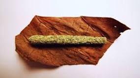 Image result for e4p cannagar cigars