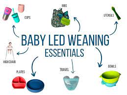 Mom Approved Baby Led Weaning Essentials 2021 Gear Guide Dietitian Meets Mom