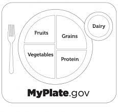 Some of the worksheets for this concept are food for thought, most americans don, work 1 the five food groups circle 1, organize the food group work, chef solus and the explorers introduce the food groups, food sorting, lesson 3, discover myplate food cards. Kids Myplate