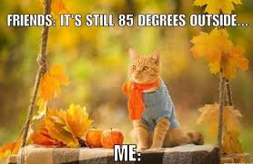 Making Us Laugh This Week 11 Memes For Anyone Ready For Fall Fall Humor Fall Fun Fall Memes