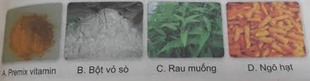 Maybe you would like to learn more about one of these? Tráº£ Lá»i Cac Cau Há»i Va Thá»±c Hiá»‡n Nhiá»‡m Vá»¥ Sau Vnen Cong Nghá»‡ 7