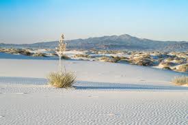 White sands hotel taps into the bamboo bar lounge culture of the early 70s. National Park Service On Twitter Did You Know White Sands National Monument Is Now White Sands National Park Making It The 62nd Designated National Park In The National Park System Learn More