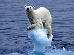 Resultado de imagem para Dia Mundial da realidade climática
