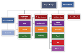 Project Phases And Organization