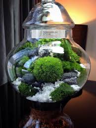 30 Amazing Aquascaping Ideas You Will Totally Love Marimo Marimo Moss Ball Terrarium Garden Terrarium
