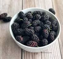 Mulberry Juice Recipe • Simple Sumptuous Cooking