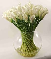 Resultats Google Recherche D Images Correspondant A Http Imworld Aufeminin Com Dossiers D20080227 D3338i72599h095414 J Fleurs Artificielles Arum Blanc Fleurs