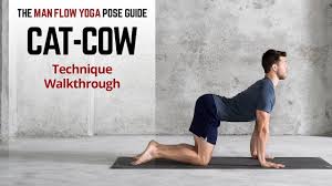 As your pregnancy progresses, the right and left sides of the abdominis rectus muscle separate as your linea alba (the tissue between that set. How To Do Cat Cow Pose Tutorial For Beginners Technique Walkthrough Youtube