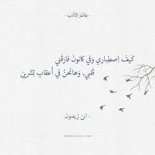 عالم الأدب تصاميم لاقتباسات أدبية و أبيات شعر عربي فصيح و أقوال وحكم الأدباء soul quotes arabic poetry quotations
