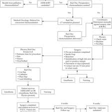 an hdr iort flow chart shows the chronological order of