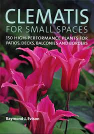Small space patio border garden gate. Clematis For Small Spaces 150 High Performance Plants For Patios Decks Balconies And Borders Evison Raymond J 9780881928518 Amazon Com Books