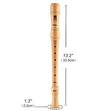 Eastar Ers 31bm Baroque Maple Wood Soprano Recorder Set C Key 3 Piece Instrument With Hard Case Joint Grease Fingering Chart And Cleaning Kit