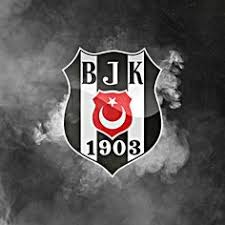 4.8 out of 5 stars. 11 Bjk Ideen Weisskopfadler Vogel Als Haustiere Ausgestopftes Tier
