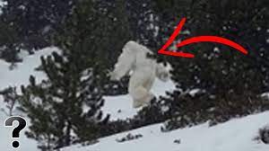What exactly the abominable snowman or yeti is? Is The Abominable Snowman Real Youtube